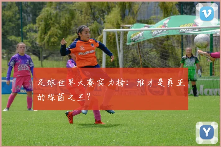 足球世界大赛实力榜：谁才是真正的绿茵之王？